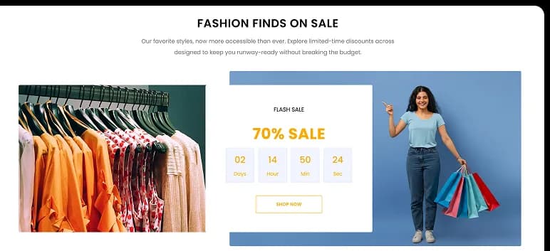 Single Vendor Project Sale CountDown